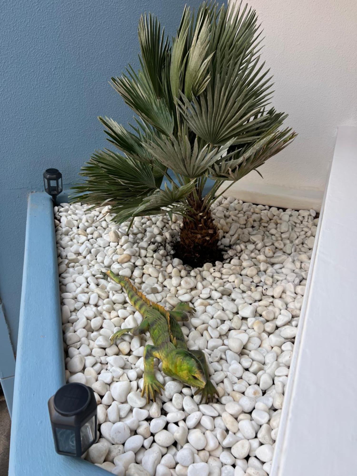 Air Conditioning, Private Parking And Fully Equipped Kitchen In Hotel Room In Golf Del Sur, Tenerife San Miguel de Abona Esterno foto